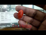 Load image into Gallery viewer, 8.71/Carat Natural Japanese Red Coral (6200)