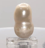 Load image into Gallery viewer, KESHI PEARL-230026-1650-16.70