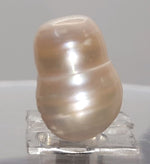 Load image into Gallery viewer, KESHI PEARL-230039-1650-16.90