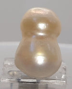 Load image into Gallery viewer, KESHI PEARL-230164-1650-14.95