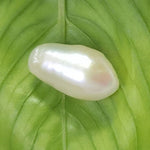 Load image into Gallery viewer, Keshi Pearl