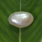 Load image into Gallery viewer, Keshi Pearl