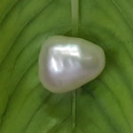 Load image into Gallery viewer, Keshi Pearl