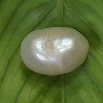 Load image into Gallery viewer, Keshi Pearl