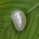 Load image into Gallery viewer, Keshi Pearl