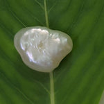 Load image into Gallery viewer, Keshi Pearl