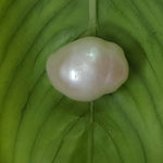 Load image into Gallery viewer, Keshi Pearl