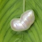 Load image into Gallery viewer, Keshi Pearl