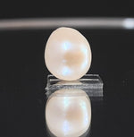 Load image into Gallery viewer, Keshi Pearl-1650