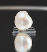Load image into Gallery viewer, Keshi Pearl-1650
