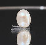 Load image into Gallery viewer, Keshi Pearl-1650