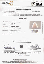 Load image into Gallery viewer, 12.28 Ratti White Coral-(1500)