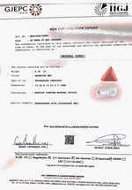 Load image into Gallery viewer, 6.35 Carat Natural Triangular Red Coral-1800