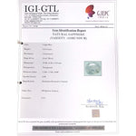 Load image into Gallery viewer, 4.61 Ratti Natural Govt Lab Certified Neelam Stone-(6771)