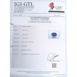 Load image into Gallery viewer, Neelam Stone-(2331)