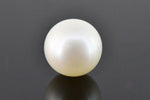 Load image into Gallery viewer, 9.21/CT Natural South Sea Pearl with Govt. Lab Certificate (1550)