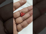 Load and play video in Gallery viewer, 4.04/CT Natural Red Coral With Govt. Lab Certificate-10815D43662