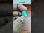 Load and play video in Gallery viewer, 3.98/CT Natural Panna Stone with Govt. Lab Certificate (2331)