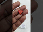 Load and play video in Gallery viewer, 6.45/CT Natural Red Coral With Govt. Lab Certificate-10815D43656
