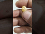 Load and play video in Gallery viewer, 4.84/CT Natural Yellow Sapphire With Govt Lab Certificate (2331)