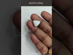 Load and play video in Gallery viewer, 7.60/CT Natural White Triangle Coral-1500