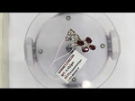 Load and play video in Gallery viewer, 4.43/GM GARNET / ZIRCON (1650)