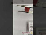 Load and play video in Gallery viewer, 8.51/Carat Natural Japanese Red Coral-6200