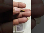 Load and play video in Gallery viewer, 4.30/CT Tiger Eye with Govt. Lab Certificate-452557