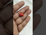 Load and play video in Gallery viewer, 13.84/CT Natural Red Coral With Govt. Lab Certificate-10815D43655