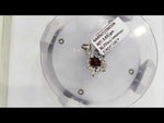 Load and play video in Gallery viewer, 3.83/GM GARNET / ZIRCON (1650)