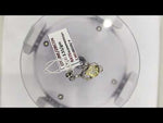 Load and play video in Gallery viewer, 2.51/GM CITRINE / ZIRCON (1650)