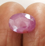 Load image into Gallery viewer, 6.04 Ratti Natural New Burma Ruby with Govt Lab Certificate-(3441)