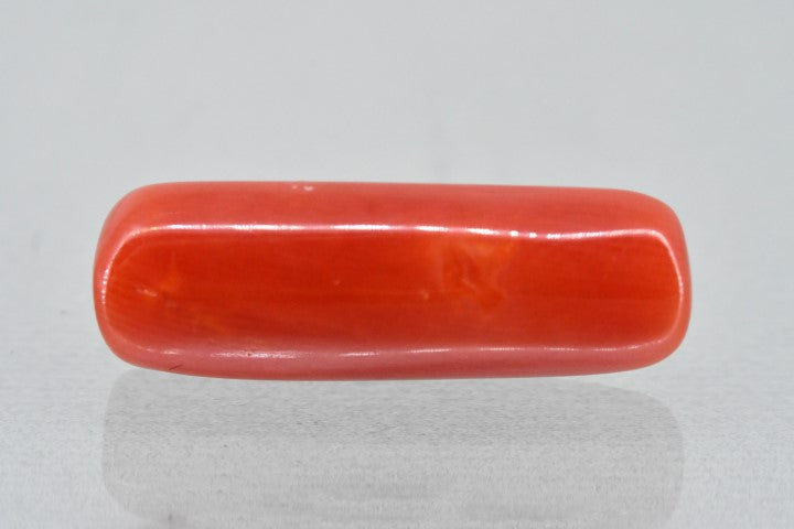 7.64/Carat Natural Cylindrical Red Coral (1500)