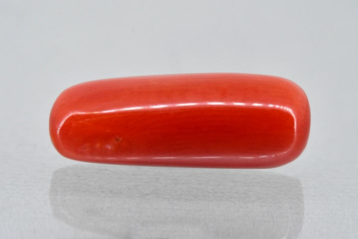 6.63/Carat Natural Cylindrical Red Coral (1500)
