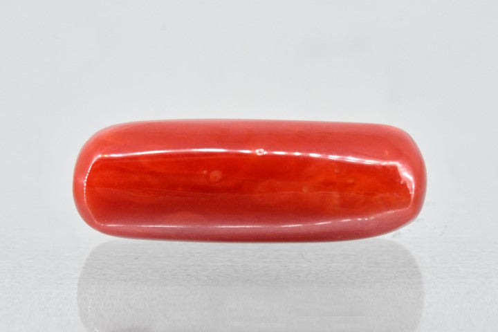 8.64/Carat Natural Cylindrical Red Coral (1800)