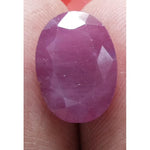 Load image into Gallery viewer, 8.17 Ratti Natural New Burma Ruby with Govt. Lab Certificate-(3100)