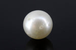 Load image into Gallery viewer, 7.40/CT South Sea Pearl with Govt. Lab Certificate-1550