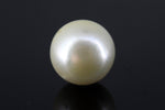 Load image into Gallery viewer, 8.29/CT South Sea Pearl with Govt. Lab Certificate-1550