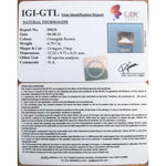 Load image into Gallery viewer, Tourmaline