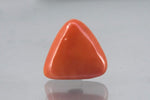 Load image into Gallery viewer, 20.09/CT Natural Triangular Red Coral-3100