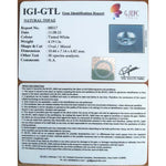 Load image into Gallery viewer, Topaz-1665