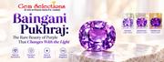 Baingani Pukhraj: The Rare Beauty of Purple That Changes With the Light