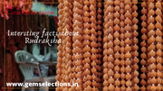Interesting facts about Rudraksha