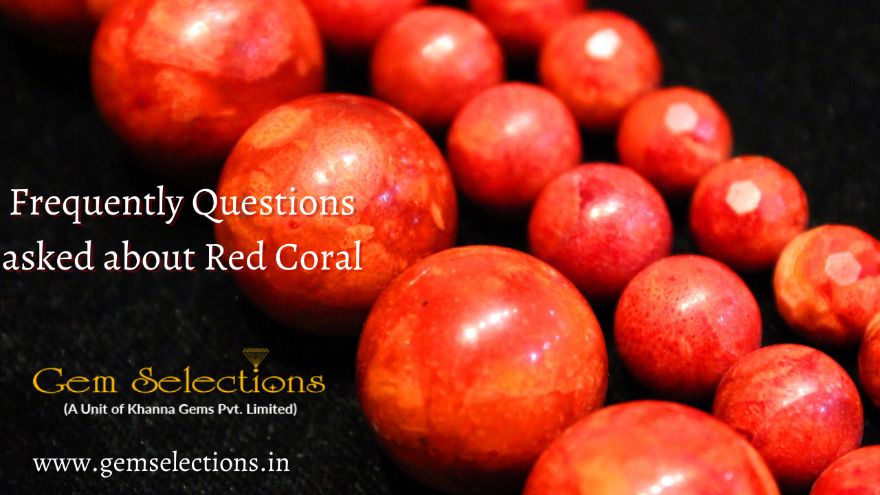 Frequently Question asked about Red Coral
