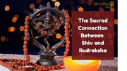 The Sacred Connection Between Shiv and Rudraksha