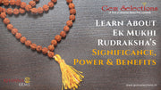 Learn About Ek Mukhi Rudraksha’s Significance, Power and Benefits