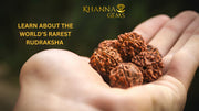 Learn About The World’s Rarest Rudraksha