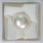 Load image into Gallery viewer, FRESH WATER PEARL
