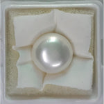 Load image into Gallery viewer, FRESH WATER PEARL (277)
