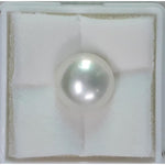 Load image into Gallery viewer, FRESH WATER PEARL (277)
